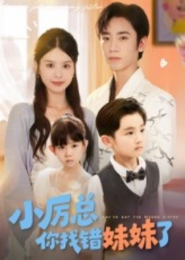 小厉总你找错妹妹了全集