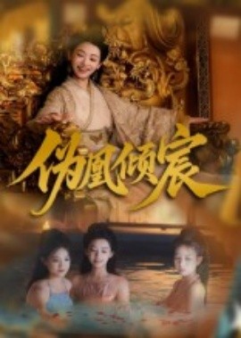 伪凰倾宸全集