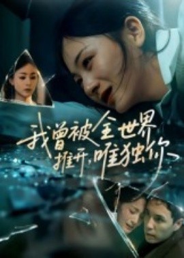 我曾被全世界推开，唯独你全集