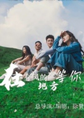 在有风的地方等你全集