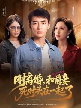 刚离婚和前妻死对头在一起全集
