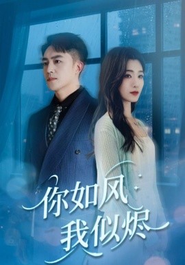 你如风我似烬全集
