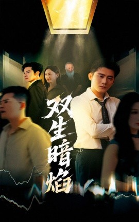 双生暗焰全集