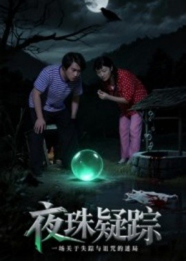 夜珠疑踪全集
