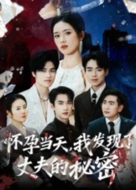 怀孕当天我发现了丈夫的秘密全集