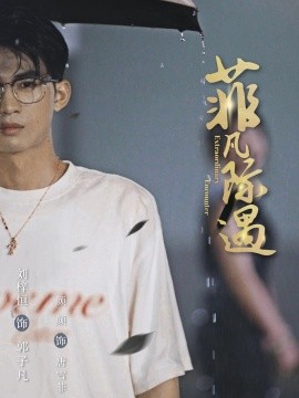 菲凡际遇全集