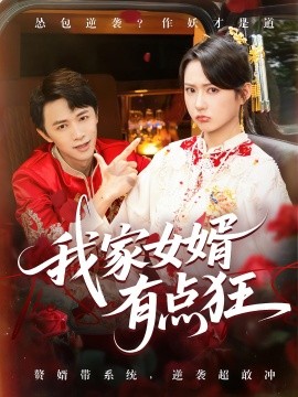 我家女婿有点狂全集
