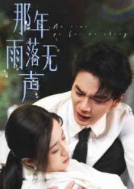 那年雨落无声全集