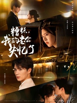 糟糕我的老公失忆了全集