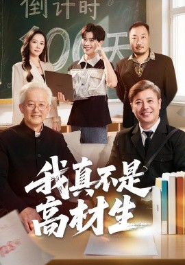 我真不是高材生全集