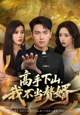高手下山我不当赘婿全集