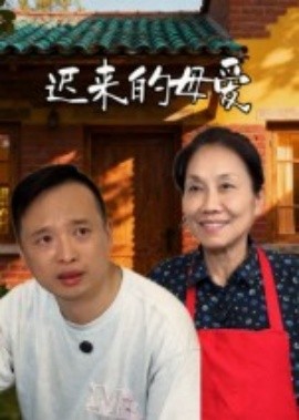 迟来的母爱全集