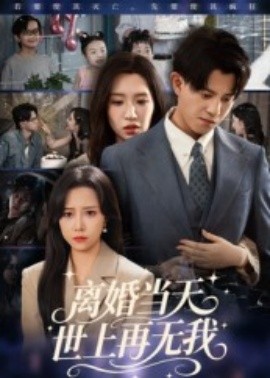 离婚当天，世上再无我全集