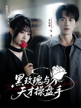 黑玫瑰与天才操盘手全集