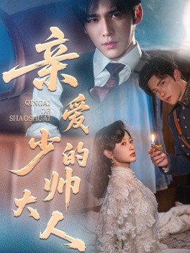 亲爱的少帅大人全集