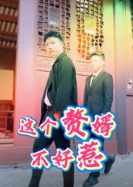 这个赘婿不好惹全集