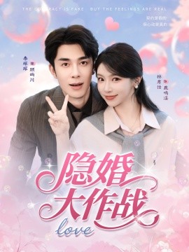 隐婚大作战全集