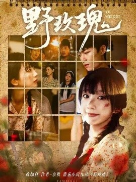 野玫瑰全集