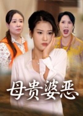 母贵婆恶全集