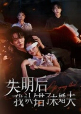 失明后我认错了未婚夫全集