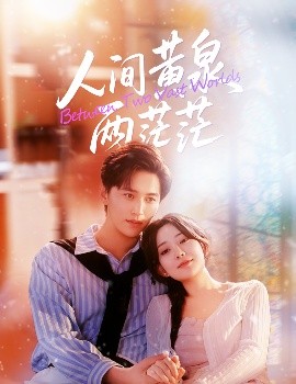 人间黄泉两茫茫全集