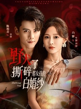 野犬撕碎了那女孩的白婚纱全集