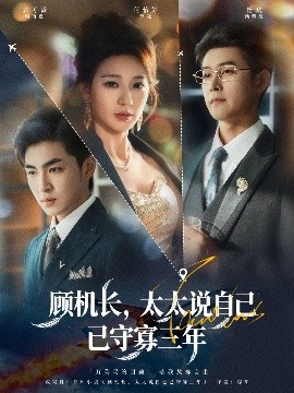 顾机长，太太说自己已守寡三年全集