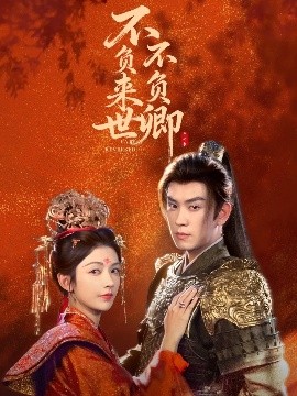 不负来世不负卿全集