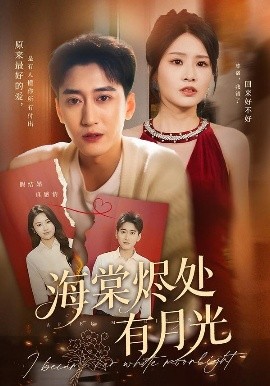 海棠烬处有月光全集
