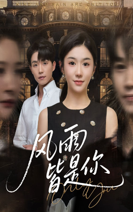 风雨皆是你全集