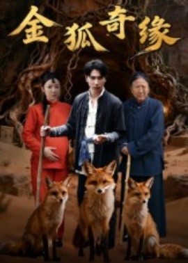 金狐奇缘全集