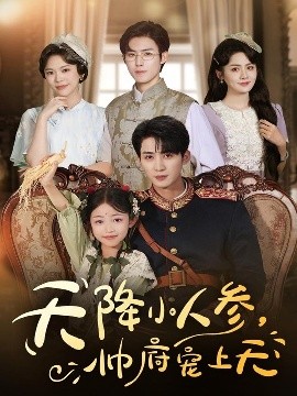 天降小人参帅府宠上天全集