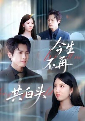 今生不再共白头全集