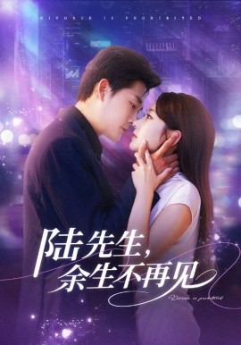 陆先生，余生不再见全集