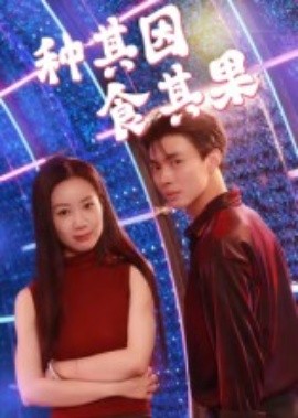 种其因，食其果全集