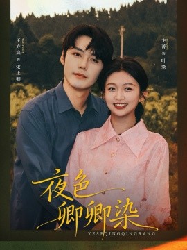 夜色卿卿染全集