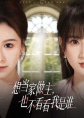 想当家做主，也不看看我是谁全集