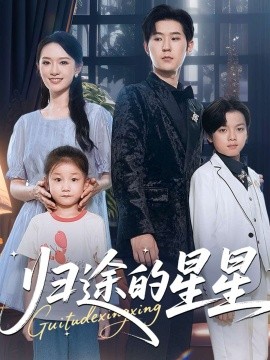 归途的星星全集