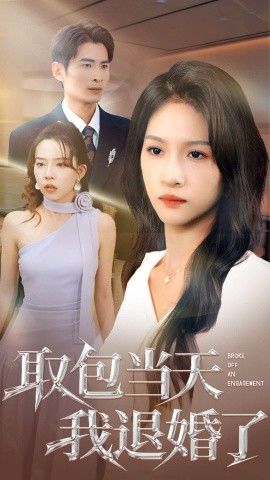 取包当天我退婚了全集