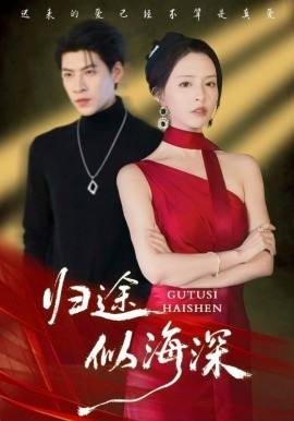 归途似海深全集