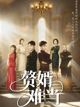 婿业难成 赘婿难当全集