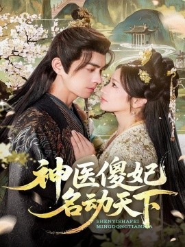 神医傻妃名动天下全集