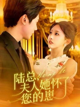 陆总，夫人她怀了您的崽全集