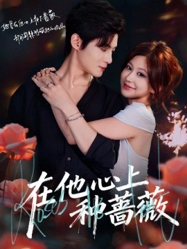 在他心上种蔷薇全集