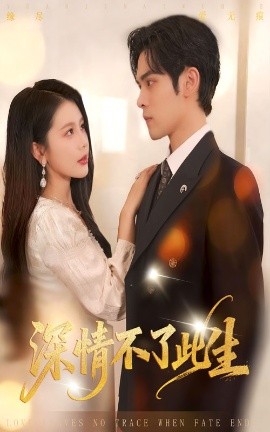 深情不了此生全集