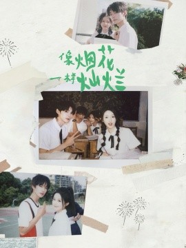 像烟花一样灿烂全集