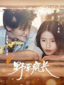 野草疯长全集