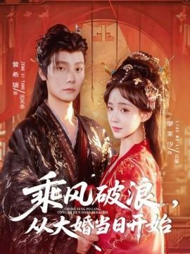 乘风破浪，从大婚当日开始全集