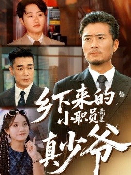 乡下来的小职员竟是真少爷全集