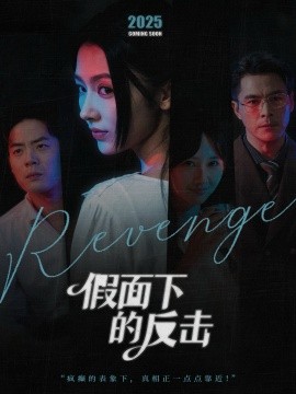 假面下的反击 她的伪装战书全集